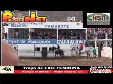 tv dantas vaquejada ao vivo|Cada dia é um show aqui no Parque Boi Nelore. A fase ainda é .